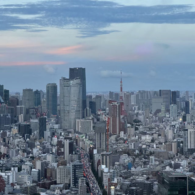 征服天際的刺激之旅！Shibuya Sky 🌆🌟🌉