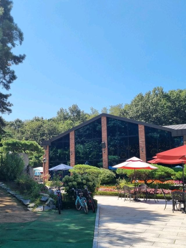 멋진 정원을 소유한 초대형 카페