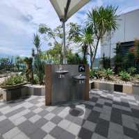 Cactus Garden at Changi Airport T1