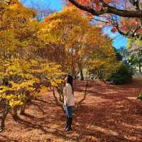 arashiyama