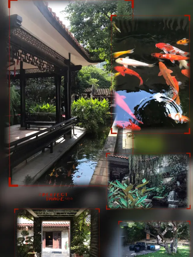 十香園～中式園林中的詩意🌸🏯🐠