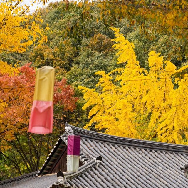 Beautiful Autumn View of Korean Folk Village 