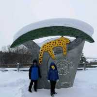 Hokkaido 8 days plan during Winter - Part 3