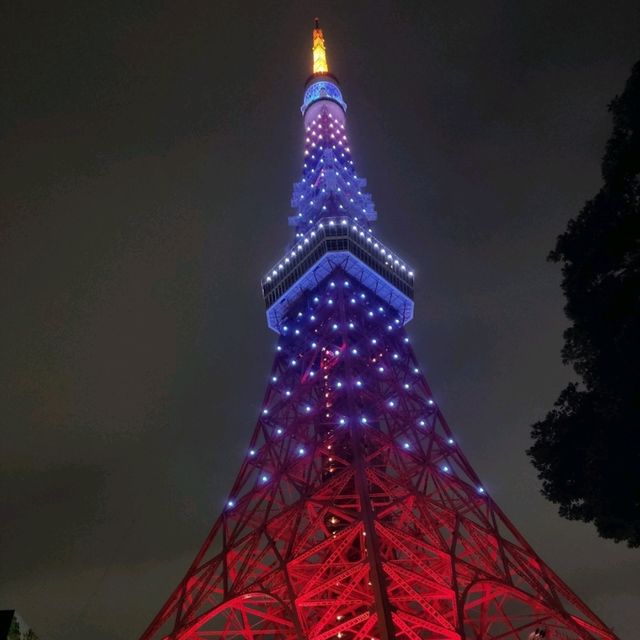 東京無敵夜景，登頂VIP級服務。