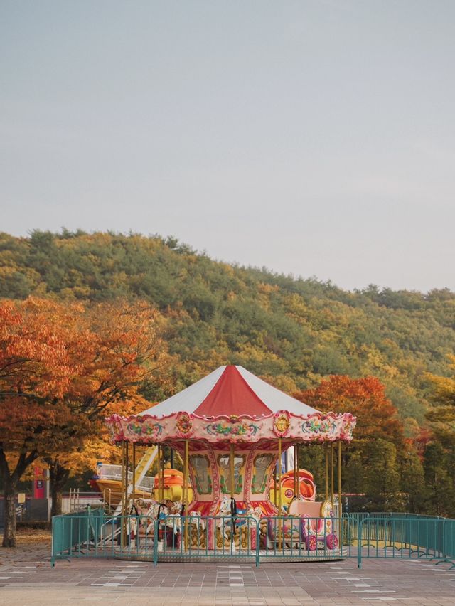 감성적인 포토존이 있는 원주 리조트, 오크밸리 리조트