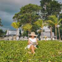 Khaolak Emerald Beach 