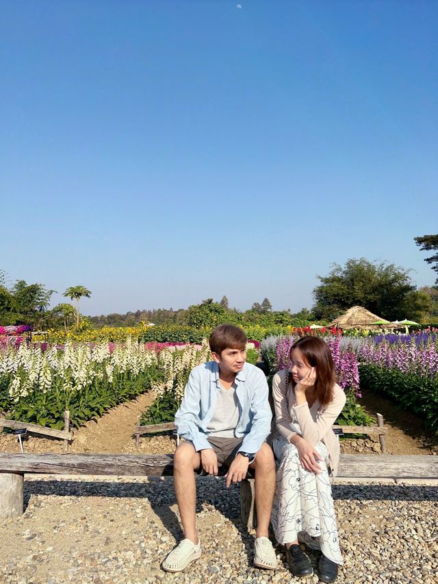 AGA Happy farm สวนดอกไม้แม่แตง เชียงใหม่