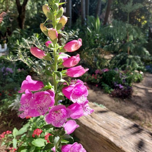 香港公園打卡位