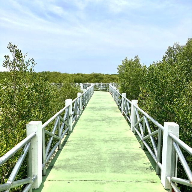 The Natural Trail