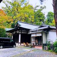 京都府宇治市 宇治上神社 &宇治川