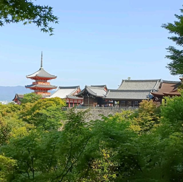 Iconic Kiyomizu-dera Temple in Kyoto 