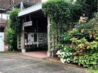 เที่ยวญี่ปุ่น Gifu World Rose Garden 