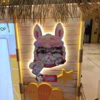 屯門V City 🐱🐱 The Meowaii Fiesta 💕