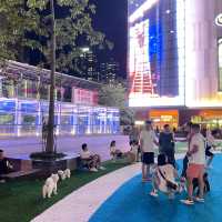 🔆深圳高檔路線商場🔆