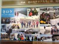北海道　北海道観光　礼文島で絶対外せない観光スポット　北のカナリアパークに行ってきた！　