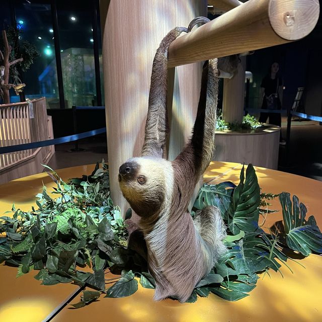 【沖縄】空間演出がすごい💕DMMかりゆし水族館