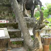 วัดเชียงมั่น