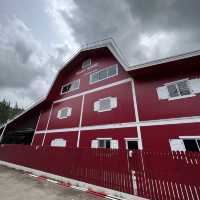 Dairy Home สัมผัสกับรสชาตินมเน้นๆ ได้ที่นี่