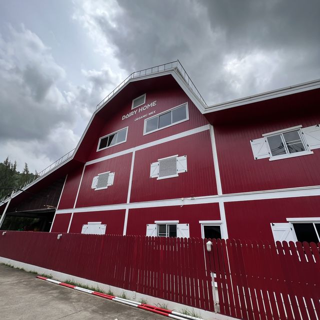 Dairy Home สัมผัสกับรสชาตินมเน้นๆ ได้ที่นี่