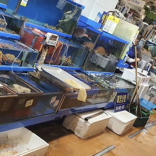 Awesome seafood market