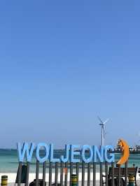 【濟洲島】月汀里果凍海