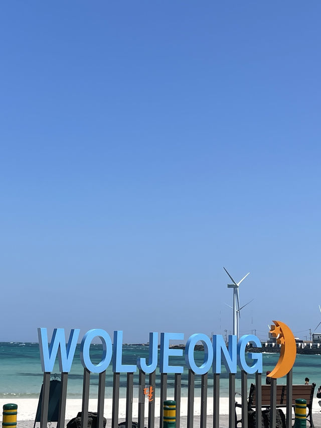 【濟洲島】月汀里果凍海