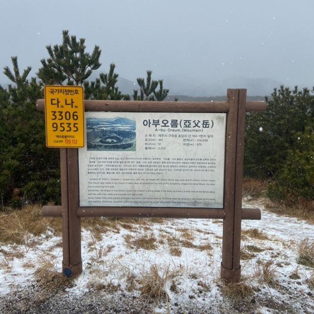 눈이 오면 더욱 아름다운 제주 아부오름 💚