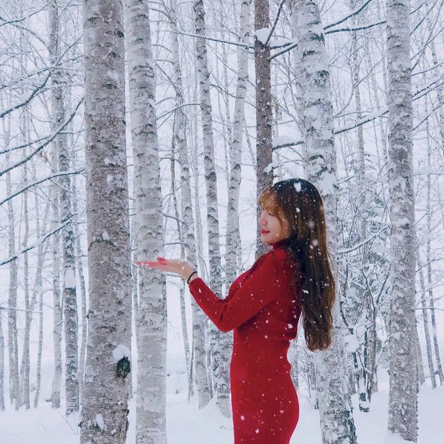 겨울에도 일본여행은 못참지