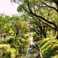 🌳🌸🏞️ 西山公園⛩️大自然的綠洲 🌳🌸🏞️