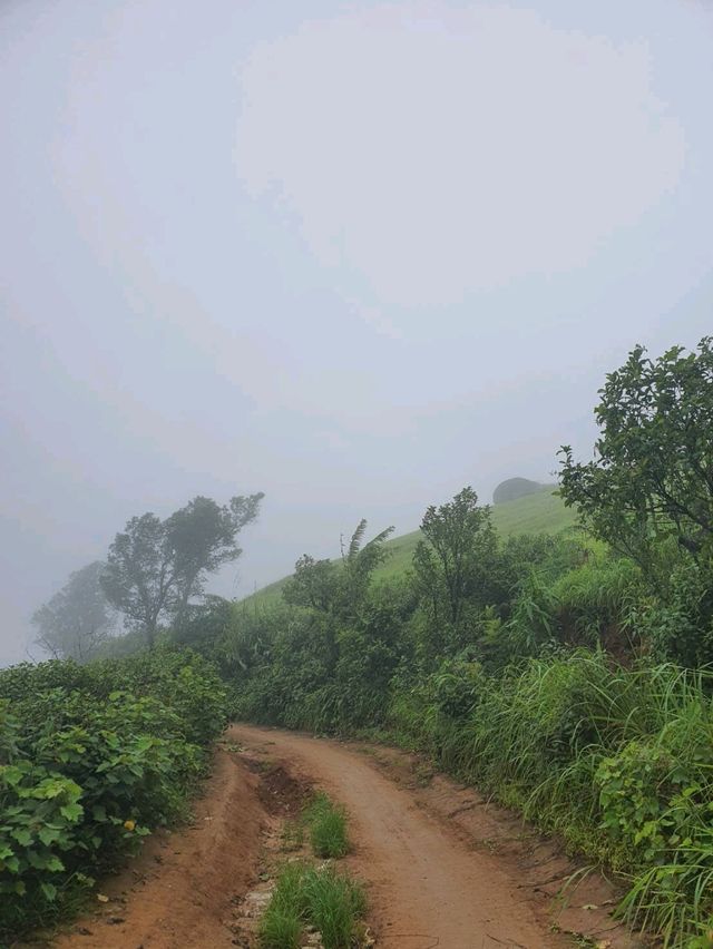 ดอยสอยมาลัย⛰️
