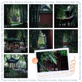 🎋🌳 May Day People's Park ~ Greenery in the bamboo grove 🏞️🎍🍃