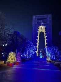 경주 엑스포공원 야경명소 별빛산책✨🎄