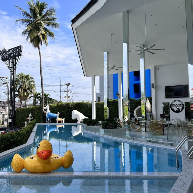 Moose hotel Chiangmai 🫎 ขนมฟรีมีไม่อั้น!!