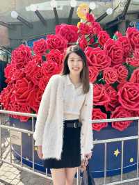 在香港海洋公園與小王子慶祝聖誕🎄🌹