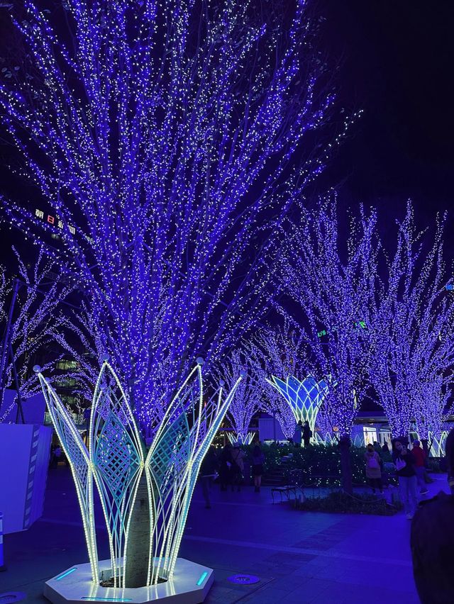 福岡聖誕燈飾 2023 - 博多、中洲聖誕巿集🎄❄️♥️