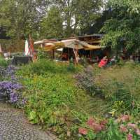 Beautiful Garden In Karlsruhe Zoo