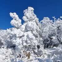 Beautiful Snow View of Deogyusan Mountains 