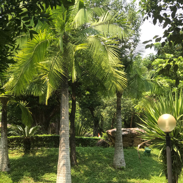 Jinjiang Hot Spring Resort