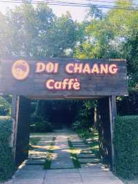 Doi Chaang Coffee แม่สรวย เชียงราย