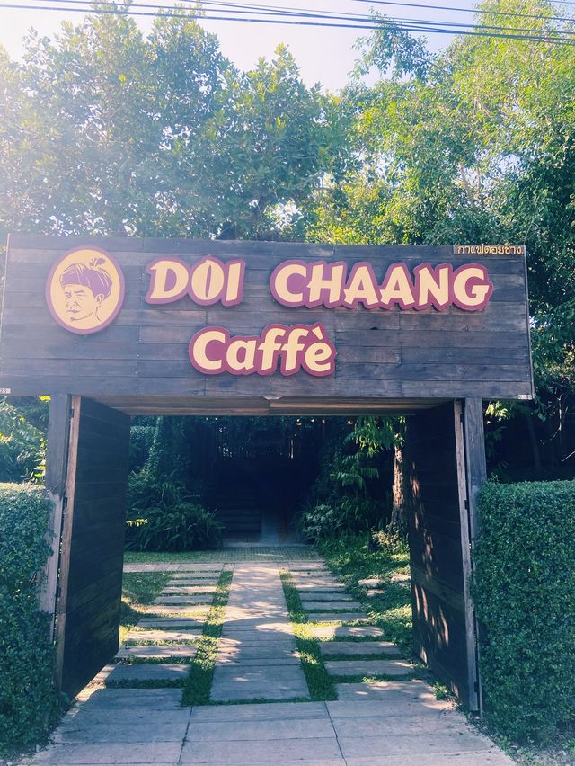Doi Chaang Coffee แม่สรวย เชียงราย