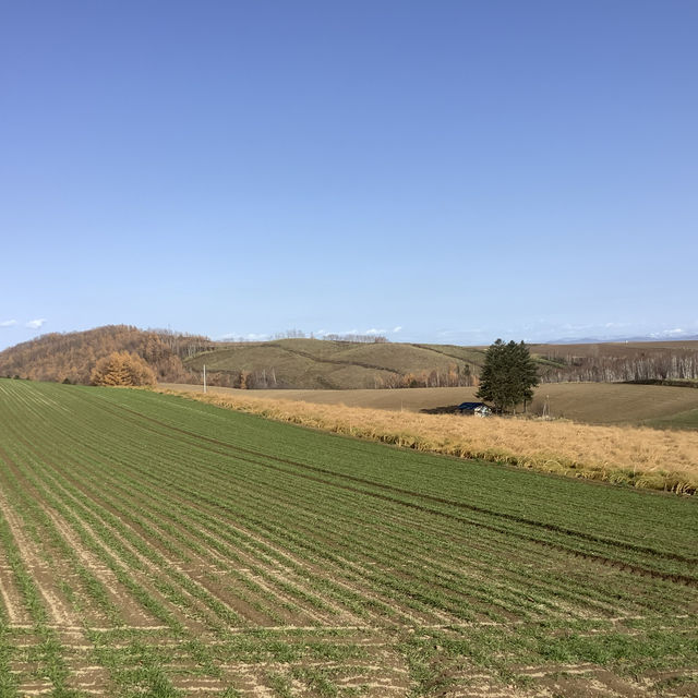 Autumn Drive: Biei to Kamikawa