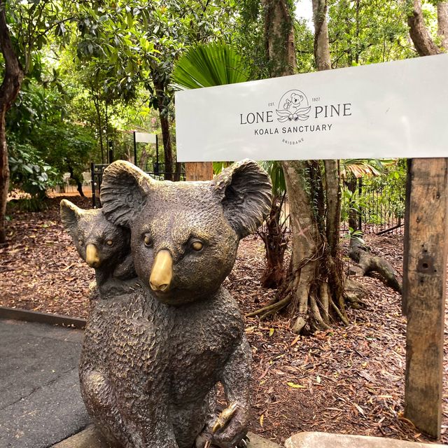 Incredible experience at Lone Pine!🐨🦘