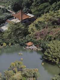 湖光山色，中山龍山公園的自然之旅