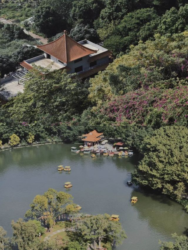 湖光山色，中山龍山公園的自然之旅