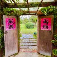 Ba Nai 品味藝術料理餐廳-中式創意私房菜 🌺