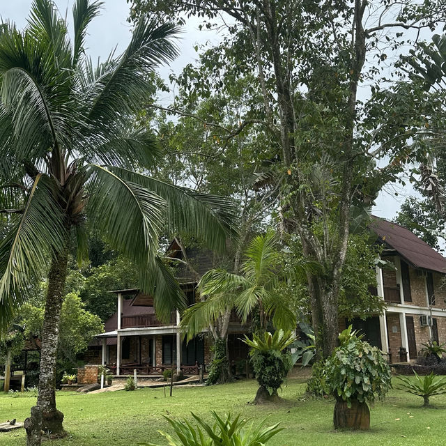 Tanjung Inn-Best Place to Stay In Cherating
