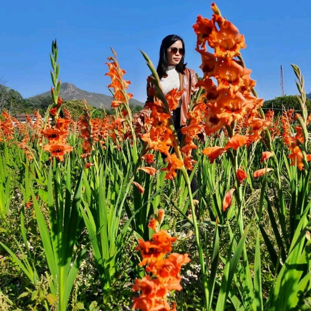Live Life in Full Bloom 🌺❤️