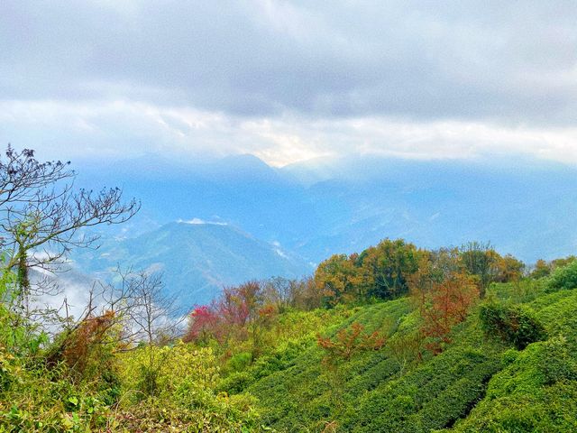 南投仁愛鄉-山景環繞優美景色