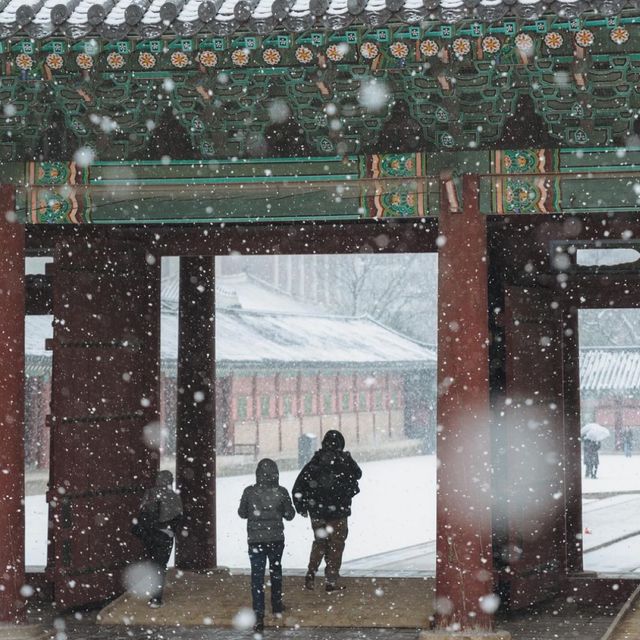 고궁에서 만나는 새하얀 설경 창덕궁 