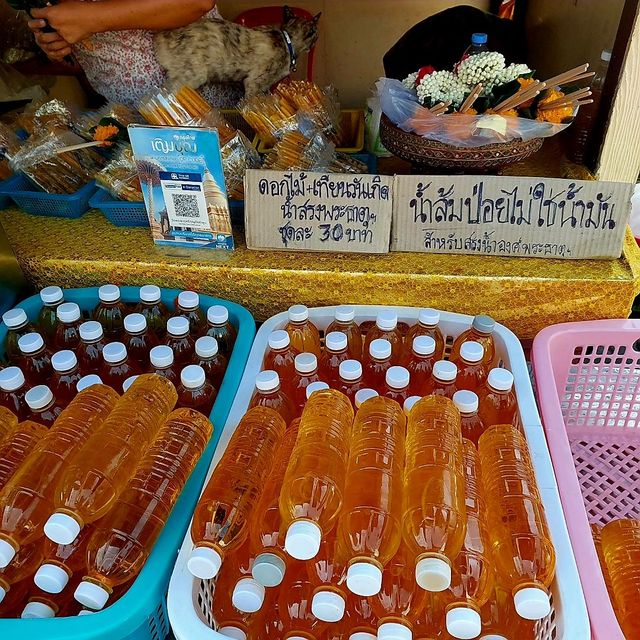 พาไหว้พระธาตุประจำคนปีระกา - จังหวัดลำพูน